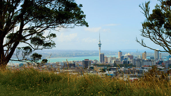 Auckland and Wellington Run